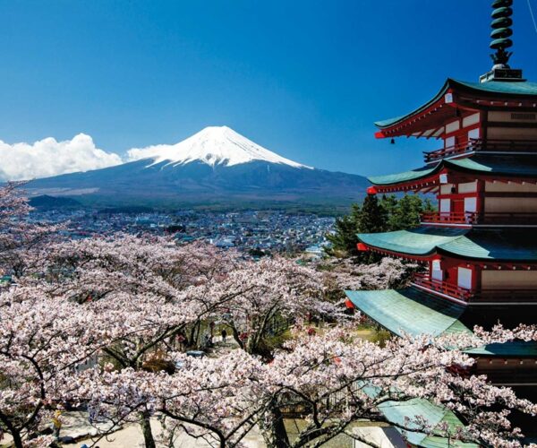 ホームページをリニューアルしました！